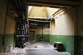 IMG_ (11052)